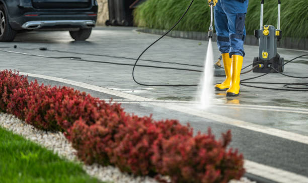 Best Roof Power Washing Services  in Coolidge, AZ